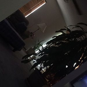 Meet your Posher, Kaylie